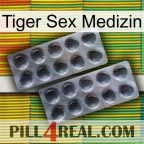 Tiger Sex Medicine 31